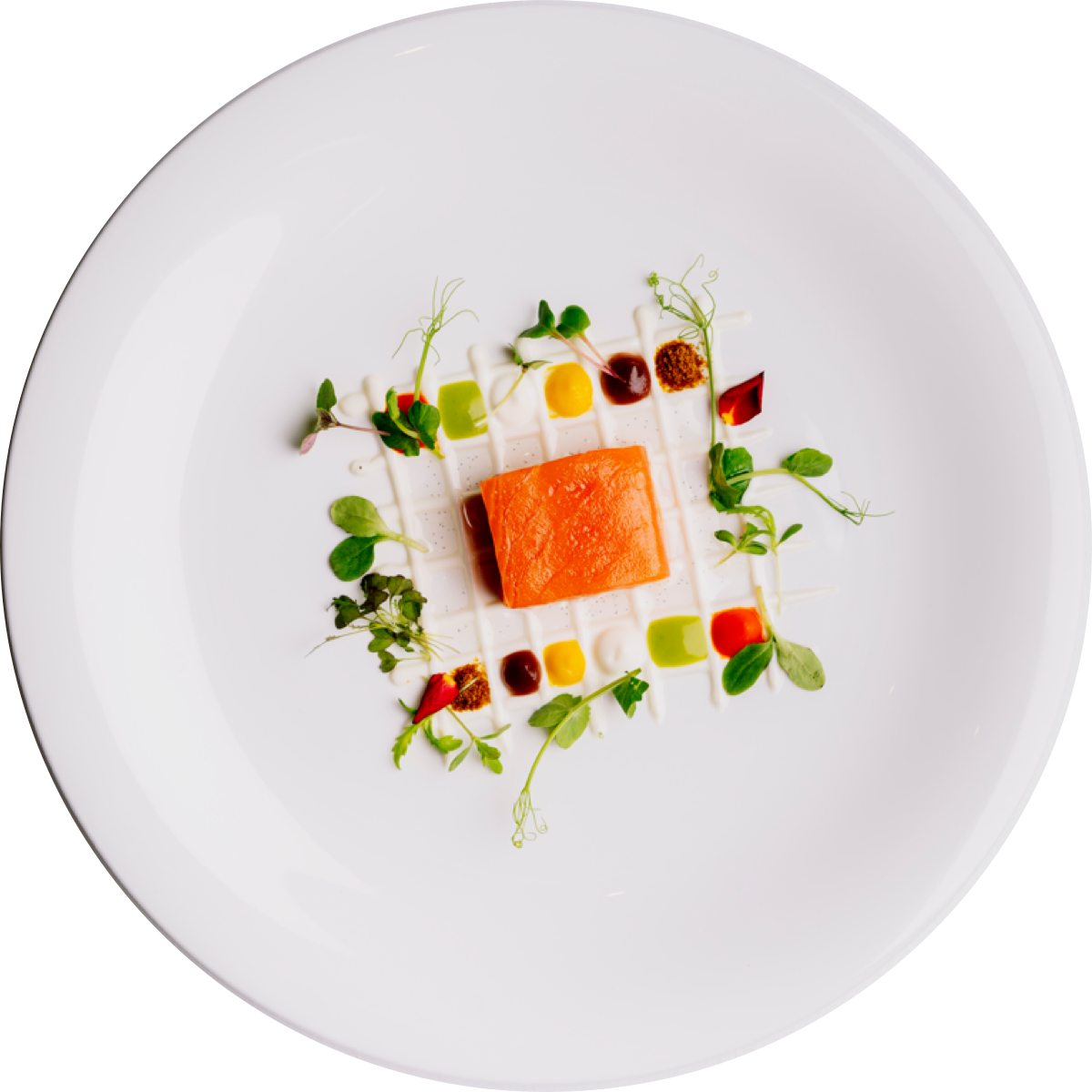 plato-silueteado-12 (1)