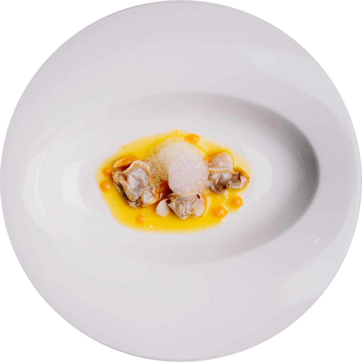 plato-silueteado-16 (1)